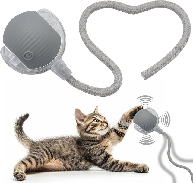 PELOTA INTERACTIVA PARA MASCOTAS